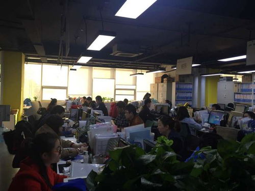 專業(yè)商務(wù)談判口譯，譯銘翻譯 為企業(yè)國際化進(jìn)程注入精準(zhǔn)溝通動(dòng)力